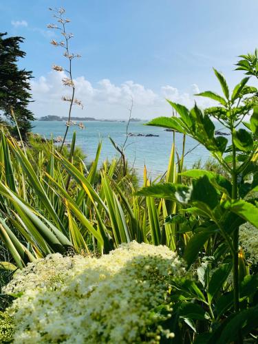 Φωτογραφία από το άλμπουμ του L'escale 551, gîte Santec à 250m de la plage σε Santec