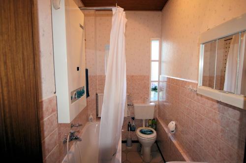 La salle de bains est pourvue de toilettes et d'un rideau de douche. dans l'établissement Laatzen - Private Apartment, à Hanovre