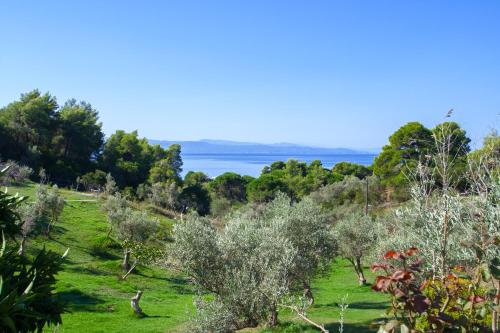 Gallery image of ANGELOS STUDIOS in Vromolimnos