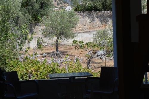 Fotografie z fotogalerie ubytování Tolis Rooms v destinaci Himare