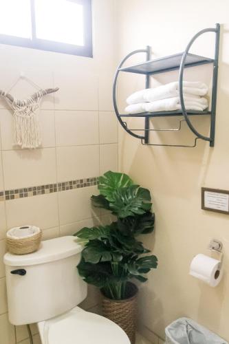 a bathroom with a toilet and a plant in it at Terida Airport B&B in Alajuela City