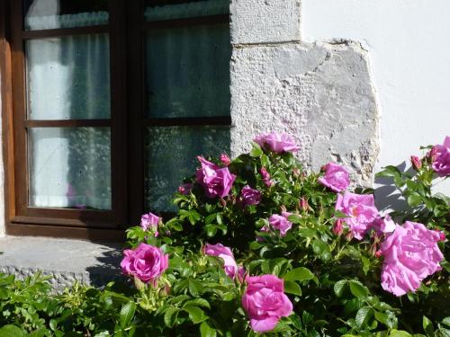 a window with pink roses in front of a window at Casa Rural Los Riegos in Caso