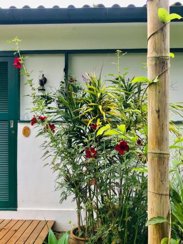 a plant in a pot in front of a house at Pinheiros do Rocio in Petrópolis