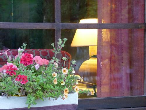 a window with a pot of flowers and a lamp at Casa Rural Los Riegos in Caso