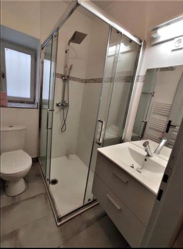 une salle de bain avec une douche, des toilettes et un lavabo dans l'établissement le one, à Agen