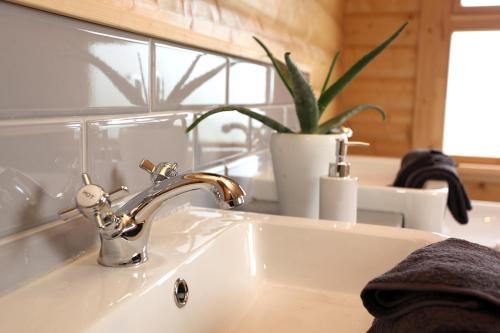 a bathroom sink with a faucet and a plant at Cambridgeshire Lakes - luxury lodges in a stunning lake location in Gamlingay