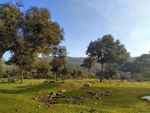 Φυσικό τοπίο κοντά σε αυτή η εξοχική κατοικία