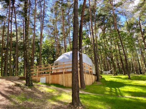 Κήπος έξω από το Planeta Glamping