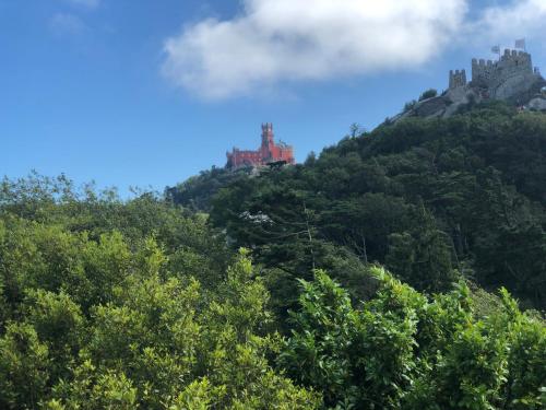 a castle on top of a hill with trees at Luxurious royal estate in historic Sintra paradise in Sintra