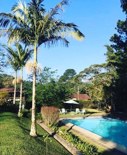 a palm tree sitting next to a swimming pool at Pinheiros do Rocio in Petrópolis