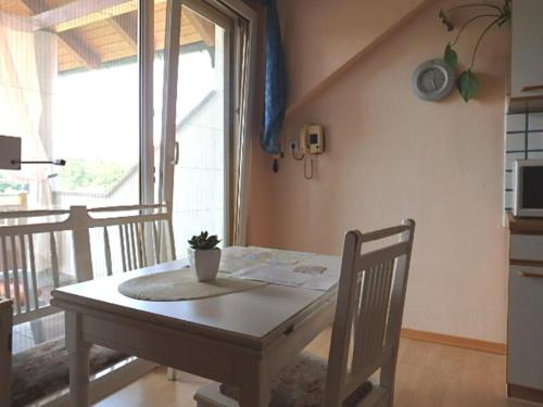 a dining room table with a potted plant on it at Ferienwohnung Silvia in Sankt Kanzian