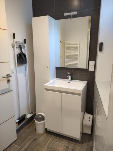 une salle de bain avec un lavabo blanc et un miroir dans l'établissement Morféo-le Vignemale, à Cauterets