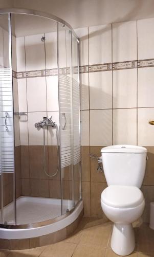 a bathroom with a toilet and a shower at Yannis Hotel in Krinídhes