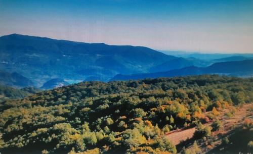 an aerial view of a forest in the mountains at Casa vacanze nel Parco Nazionale della Majella in Montenerodomo