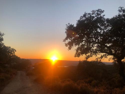 a sunset on a dirt road with a tree at Finca San Juan Alojamiento Boutique in Constantina