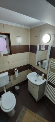 LupeniにあるCabana Meaのバスルーム(トイレ、洗面台、鏡付)