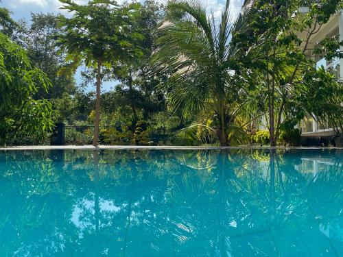 a large swimming pool with blue water and palm trees at Sapphire Garden Hotel in Habarana