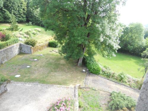 an aerial view of a garden with a tree at Château de la Moissetie in Aurillac