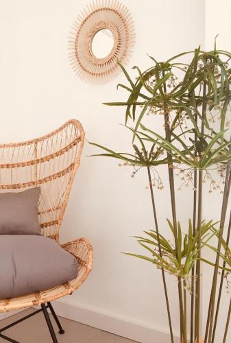 a rattan chair next to a plant and a mirror at AQUA Boutique Hotel in Glacis