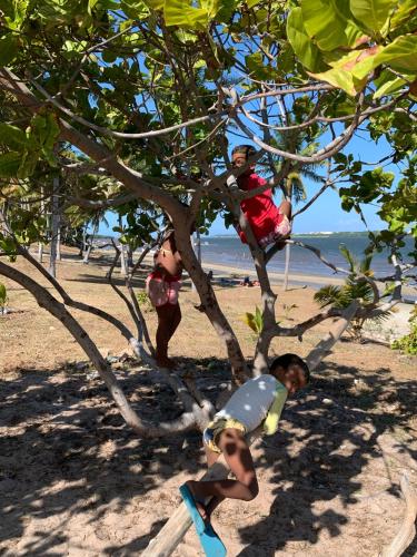two children playing in a tree at the beach at Pousadinha da Lulu - Pontal Mangue Seco in Indiaroba