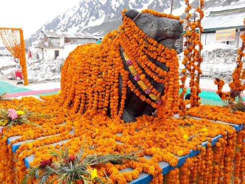 a large display of orange flowers in front of a statue at SAMAUN Homestay in Kurchhola