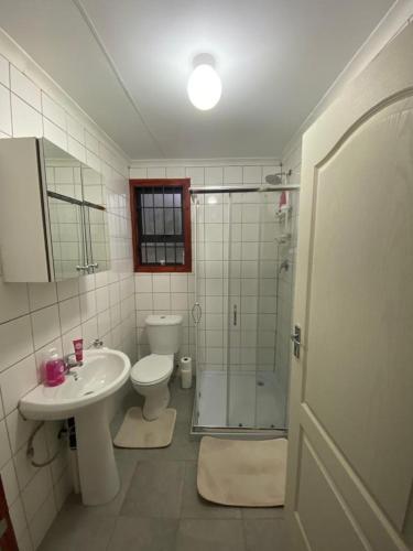 a bathroom with a toilet and a sink and a shower at Man and Dog Log Cabin in Midrand