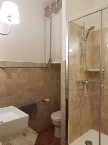 een badkamer met een douche, een wastafel en een toilet bij Joli T2 de 40m² à louer à Le Muy (83490) in Le Muy