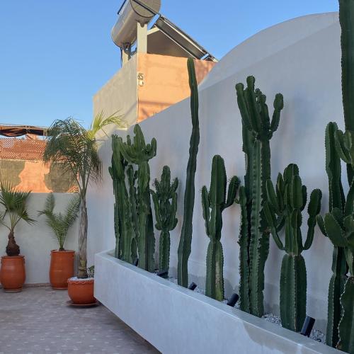 Billede fra billedgalleriet på Riad Oasissime i Marrakech