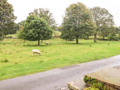 two sheep grazing in a field next to a road at Greywalls in Penrith
