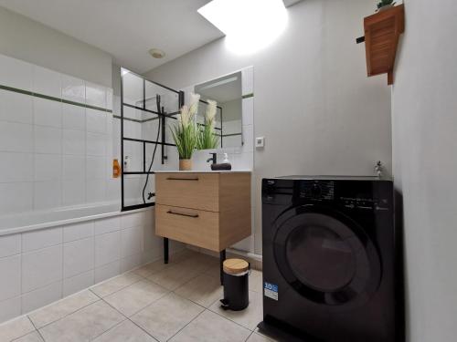 une salle de bain avec une machine à laver et un lavabo dans l'établissement Le Gatsby - Duplex art déco au coeur de Blois, à Blois
