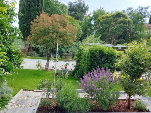 Villa Salvia Rooms and Apartments