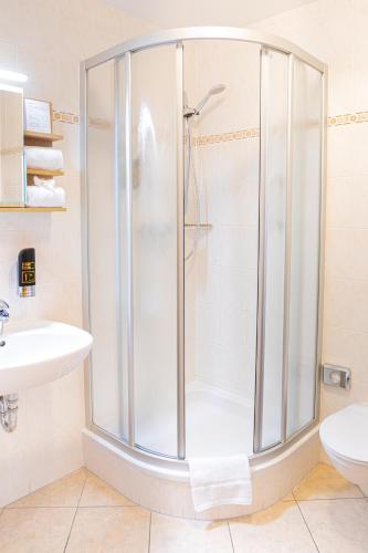 a shower with a glass door in a bathroom at Hotel Elbpromenade in Bad Schandau