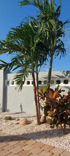 two palm trees in front of a white building at Kas Trupial in Willemstad