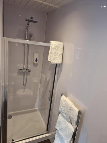 a bathroom with a shower and a sink at Glenfern Guest House and a separate Cottage with its own private hot tub in Balloch