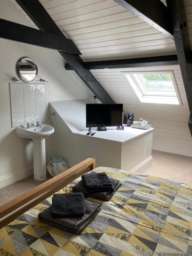 a bedroom with a bed and a sink and a tv at The Ship Inn in Solva