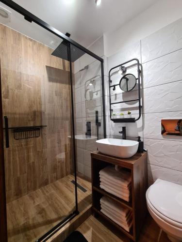 a bathroom with a glass shower and a sink at Colfly Studios in Braşov