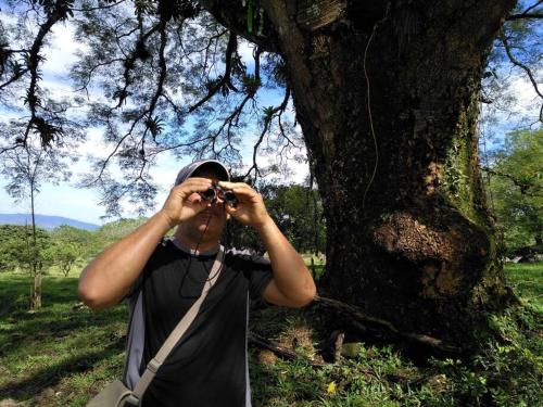 a man taking a picture of a tree with a camera at Greenhouse Lofts Miravalles in Aguas Claras