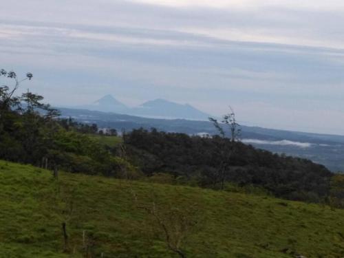 a green field with trees and mountains in the distance at Greenhouse Lofts Miravalles in Aguas Claras