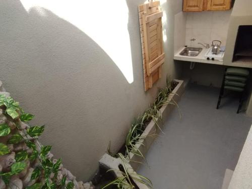 a kitchen with a sink and some plants in a room at Hotel Firenze in Necochea