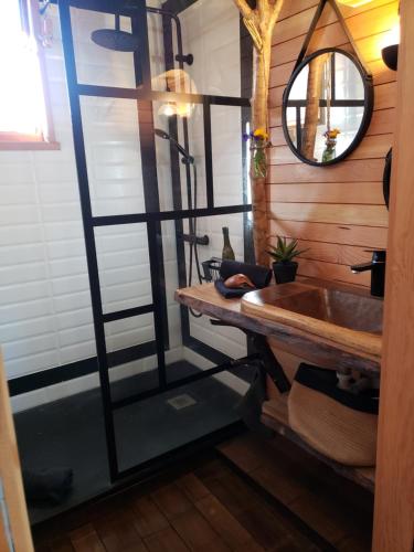 a bathroom with a ladder next to a sink at Chalet le 22 Agniéres in Le Dévoluy