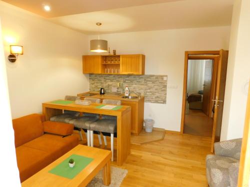 Η κουζίνα ή μικρή κουζίνα στο Apartments Rapid