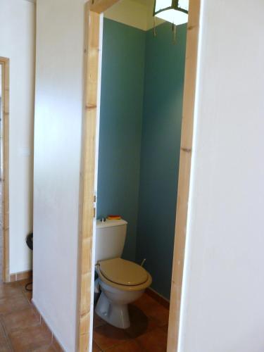 a bathroom with a toilet and a green wall at Un coin de campagne à 4km de la mer pour 4 à 6 personnes in Portiragnes