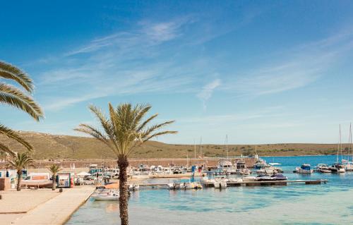 a marina with boats in the water and a palm tree at Apartamentos Gabriel Sans in Fornells