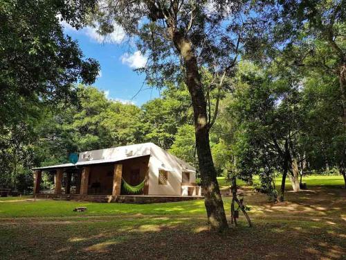 a building in the middle of a park with a tree at Vista Alegre Natural Resort - Villas & Cabañas in Independencia
