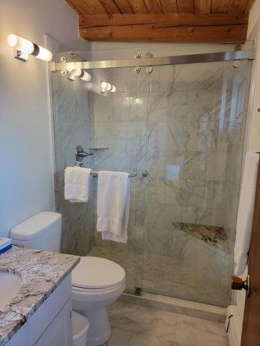 a bathroom with a toilet and a glass shower at St Moritz Lodge and Condominiums in Aspen