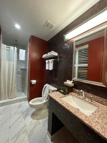 a bathroom with a sink and a toilet and a shower at The Architect in Washington