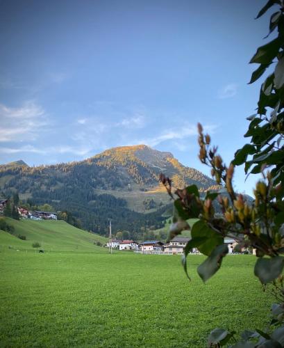 a green field with a mountain in the background at Apartment Bergfeeling in Russbach am Pass Gschütt