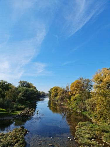 a view of a river from a bridge at Zelena Saduba in Nevitskoye