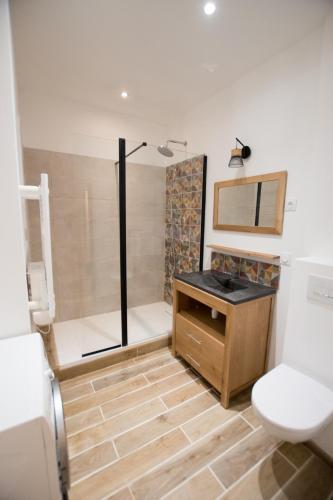 une salle de bain avec une douche avec des toilettes et un lavabo dans l'établissement Remparts - Duplex climatisé, à Arles