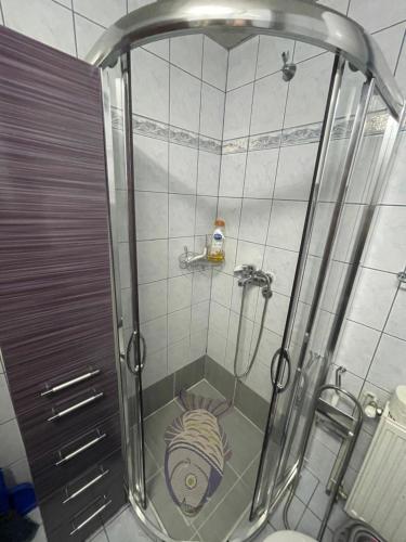 a shower in a bathroom with a toilet at Apartman Cici in Zlatibor